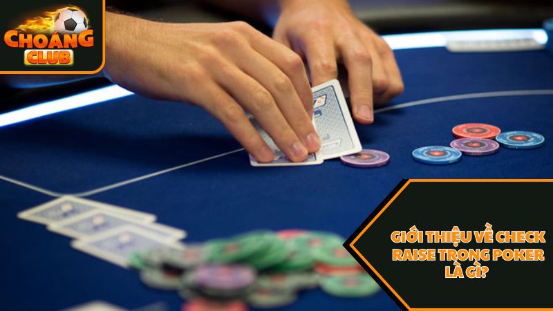 Vài nét giới thiệu về check raise trong poker là gì 